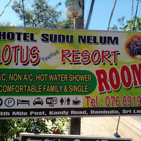 دامبولا Lotus Inn Tourist Resort المظهر الخارجي الصورة