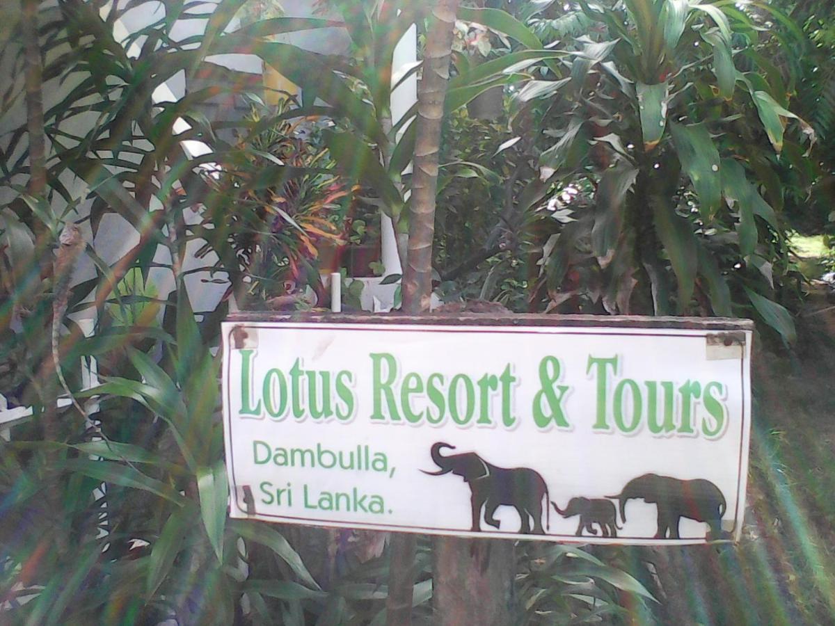 دامبولا Lotus Inn Tourist Resort المظهر الخارجي الصورة